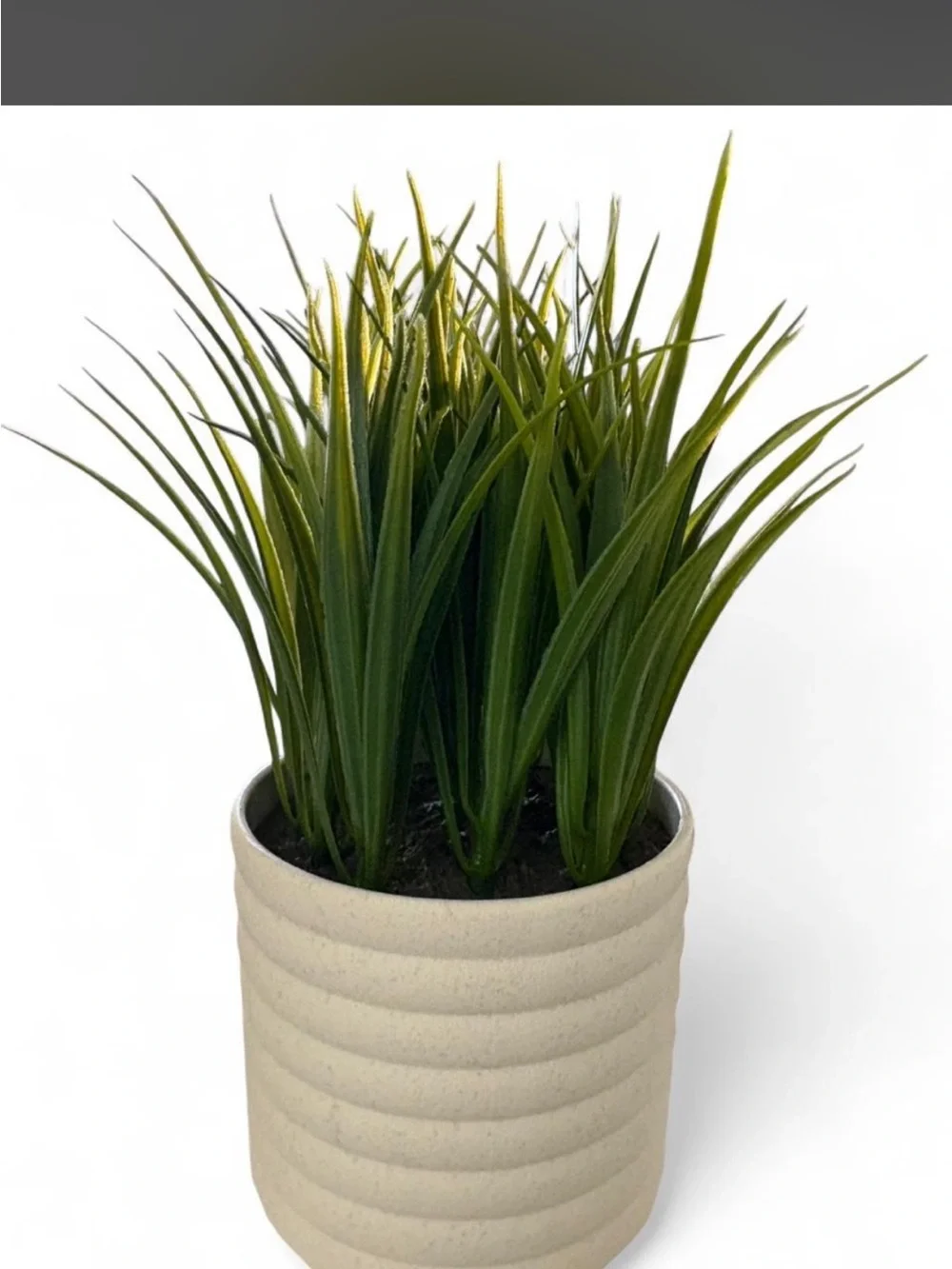 Lifelines Artificial Grass Planter diffuser in Cream Pot - Home Accents